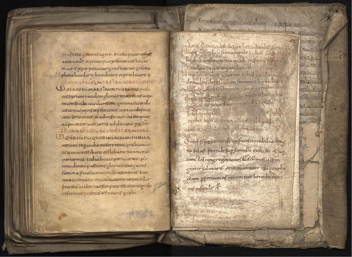 Die Merseburger Zaubersprüche in der Original-Handschrift (Codex 136, Domstiftsbibliothek Merseburg)
