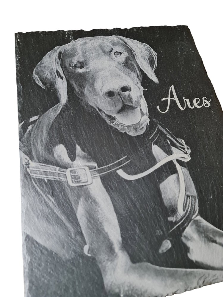 Fotogravur eines Hundes (Ares) mit Namen auf Naturschiefer